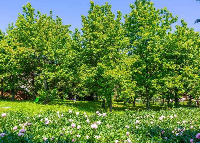 Casa Il Giardino Segreto By Guide فيلة *